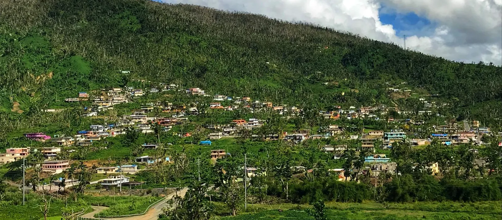 Casas en la ladera del barrio Río Blanco, Naguabo, Puerto Rico